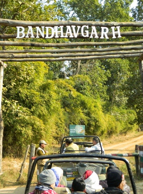bandhavgarh tiger reserve 