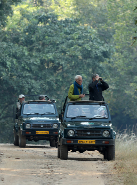 wildlife tour madhya pradesh