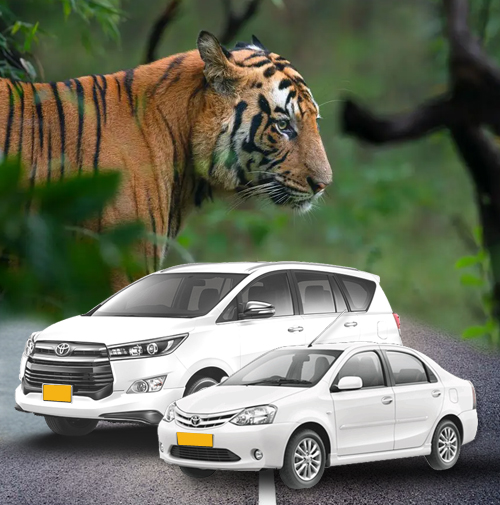 Taxi Service from Bhandhavgrah