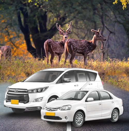 Taxi Service from Kanha
