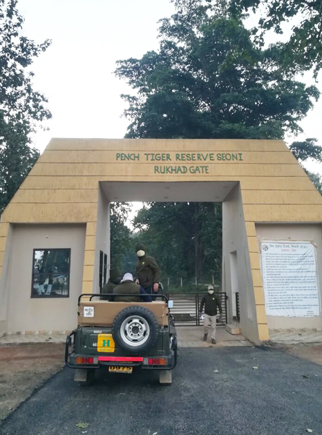 Pench Tiger Reserve Tour