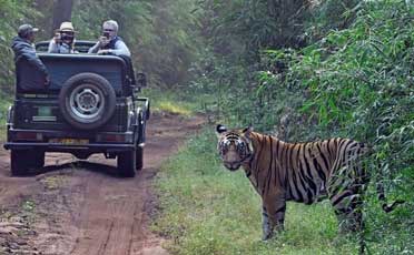 Kanha Satpura Pachmarhi Sanchi Tour from Jabalpur